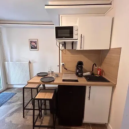 아파트 La Terrasse Abritee Et Son *