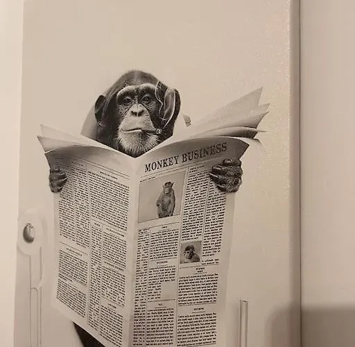 La Terrasse Abritee Et Son * Nancy