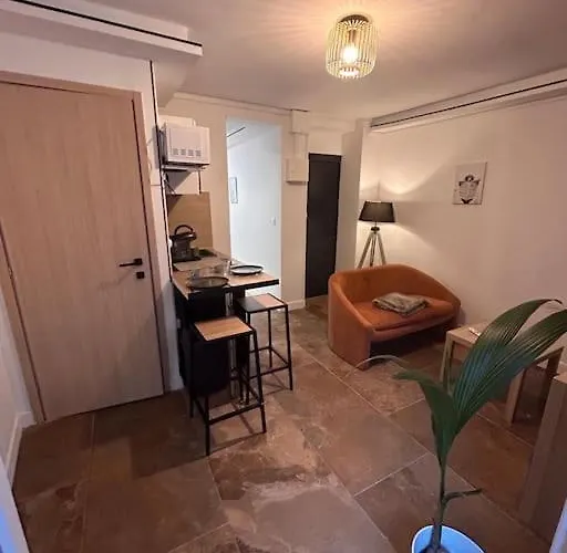 La Terrasse Abritee Et Son * Нанси